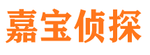 红桥市私家侦探